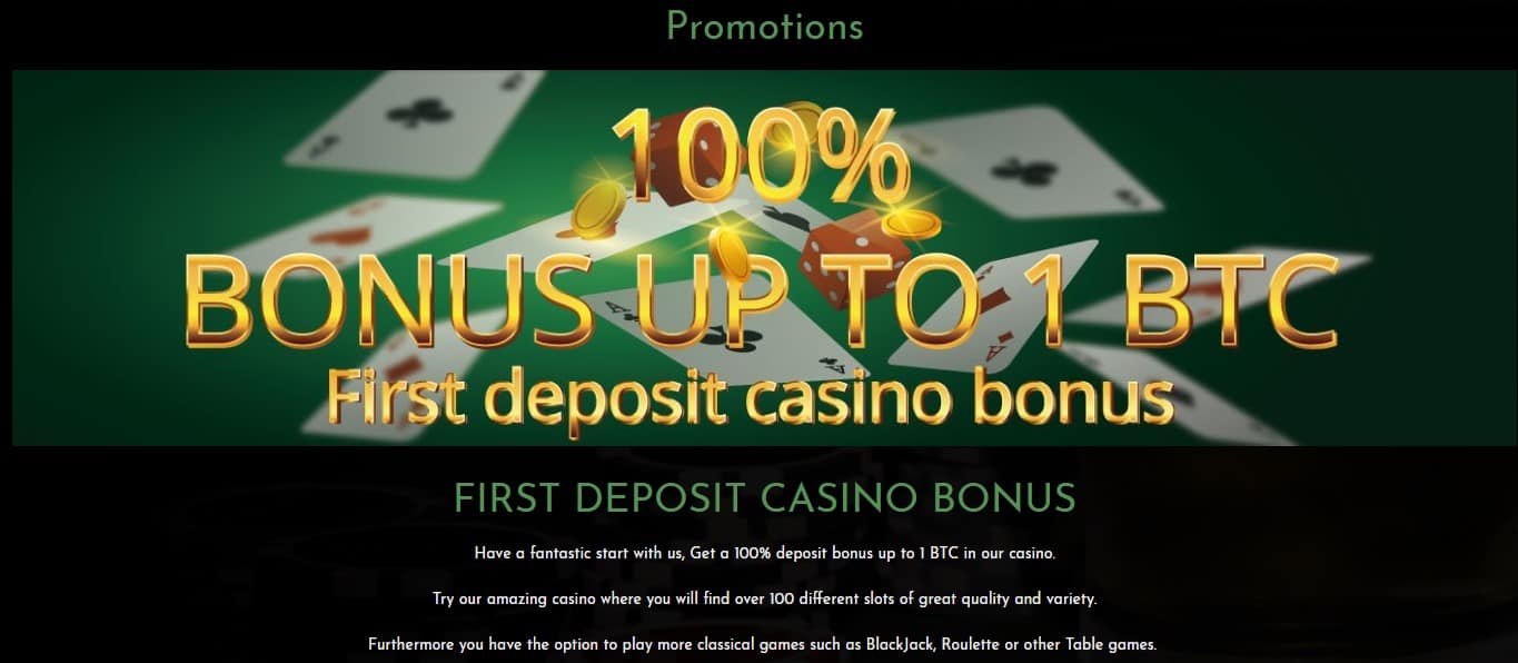 Bonus offer in Coinbet24 casino